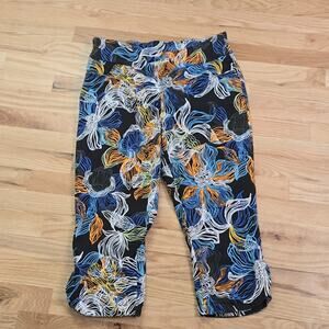 Westbound pull-on pants  size 14P